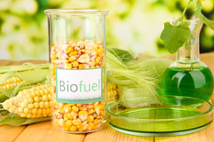 Bridgeholm Green biofuel availability
